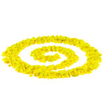 Gravilla PCR (12.5 kg) - Image 2