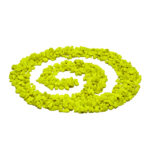 Gravilla Plus (25 kg) - Image 2