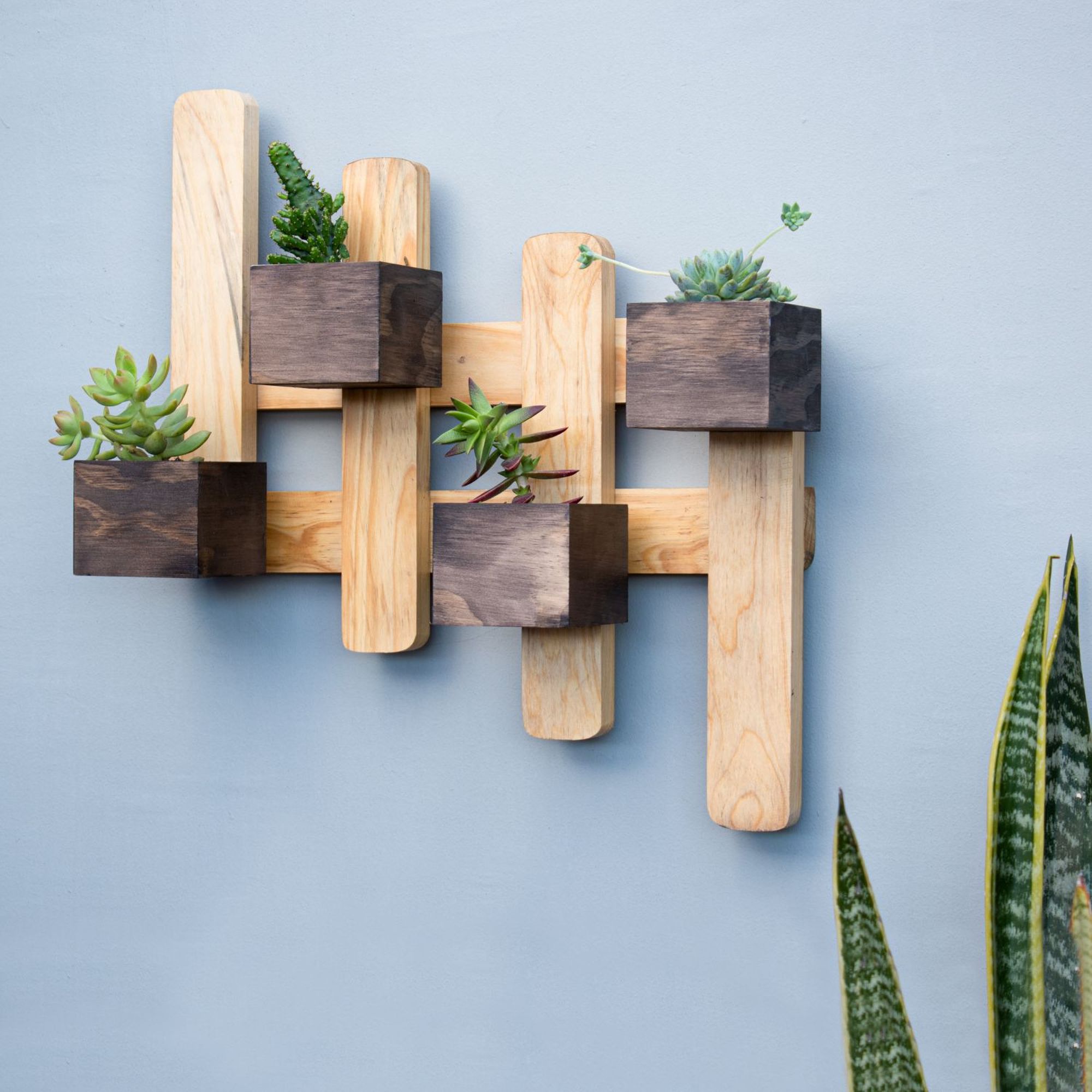 Portamatero_Pared_Madera_Miku_Rustico_Ambientado_dimihome.jpg Portamatero Miku - Image 1