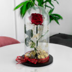 Rosa preservada Rose Love